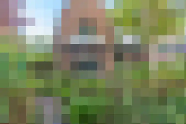 Dokter van Peltlaan 12 Bergen (NH) thumbnail 7
