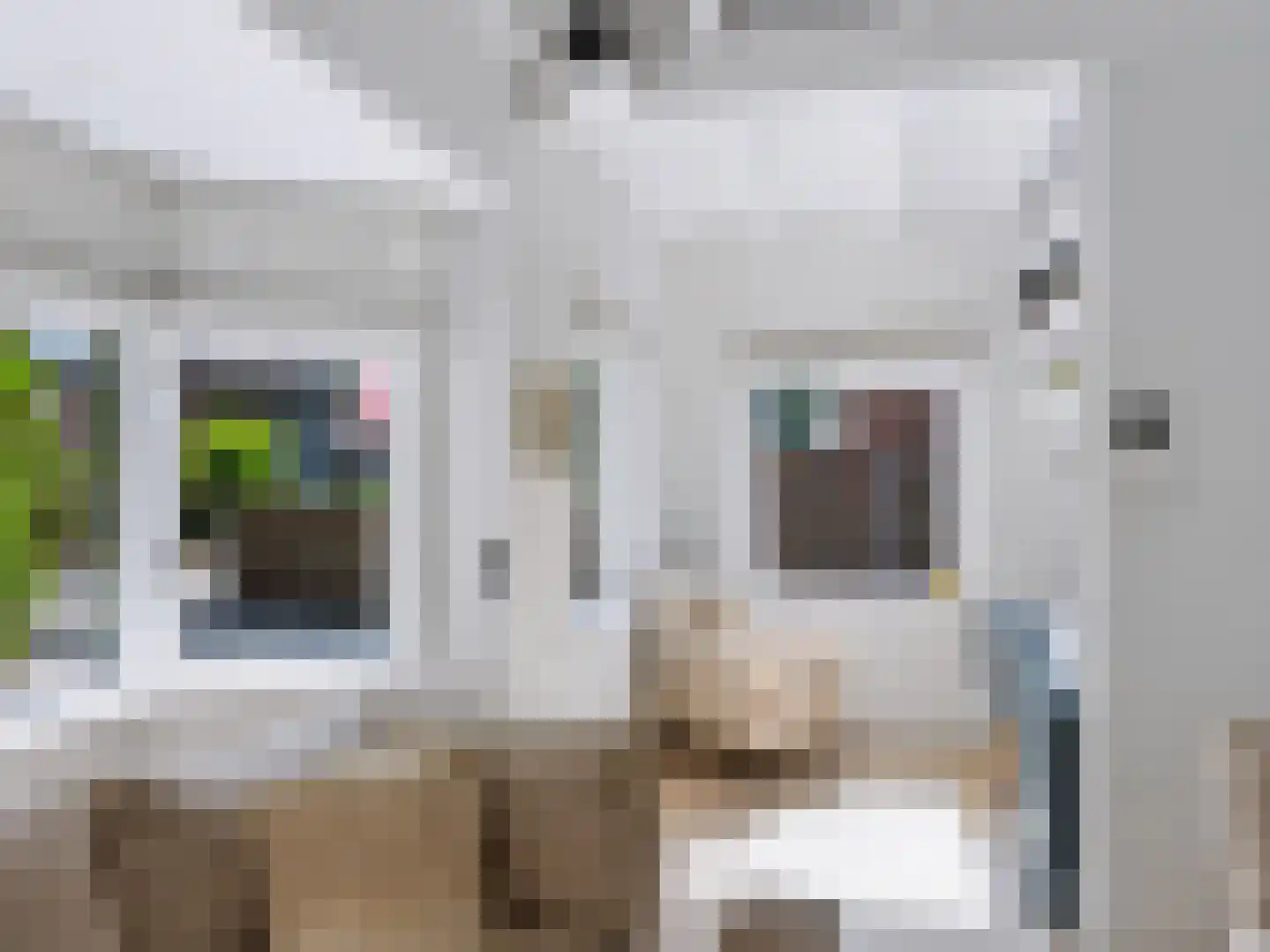 Dokter van Peltlaan 24 Bergen (NH) thumbnail 10