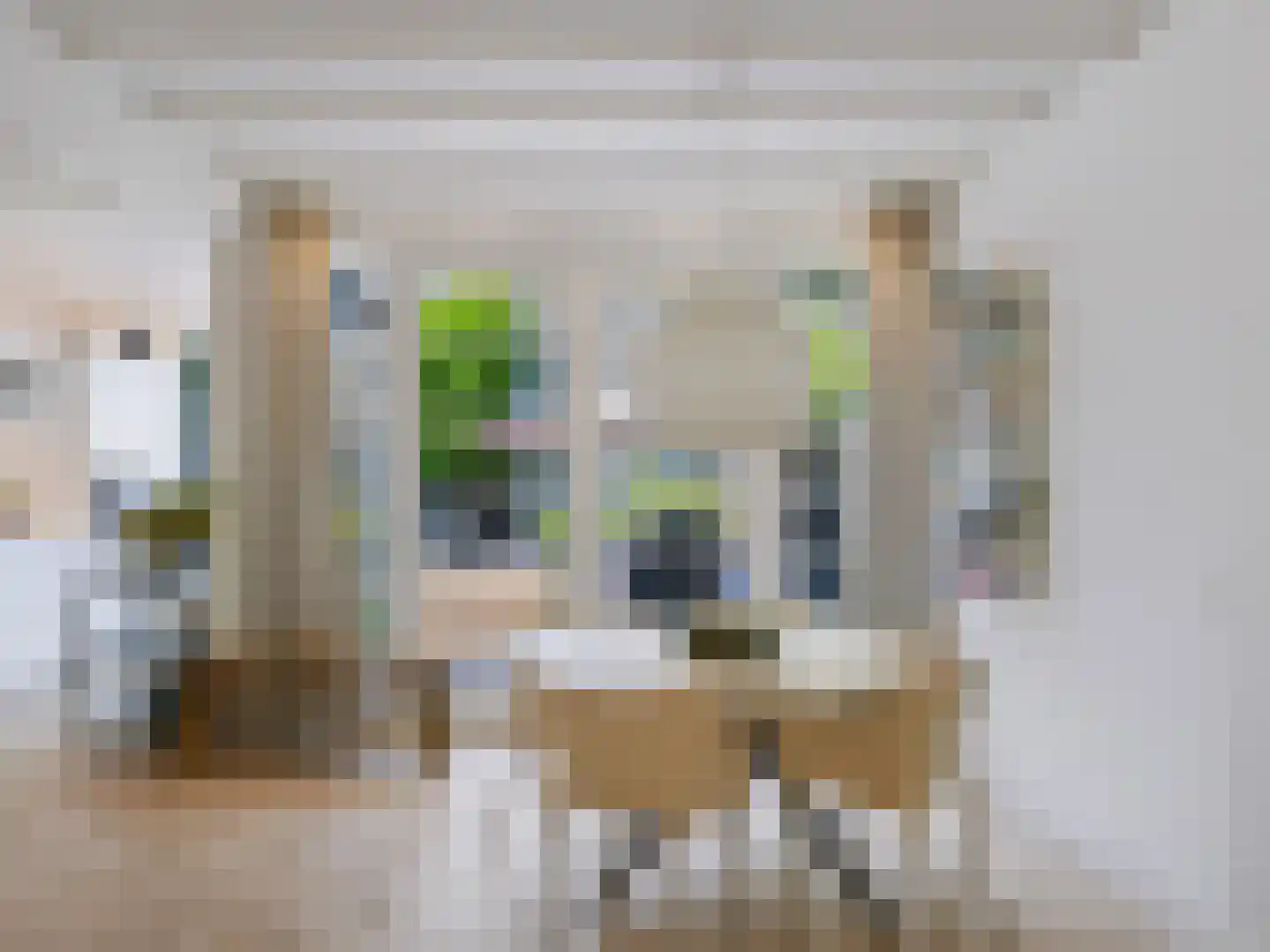 Dokter van Peltlaan 24 Bergen (NH) thumbnail 13