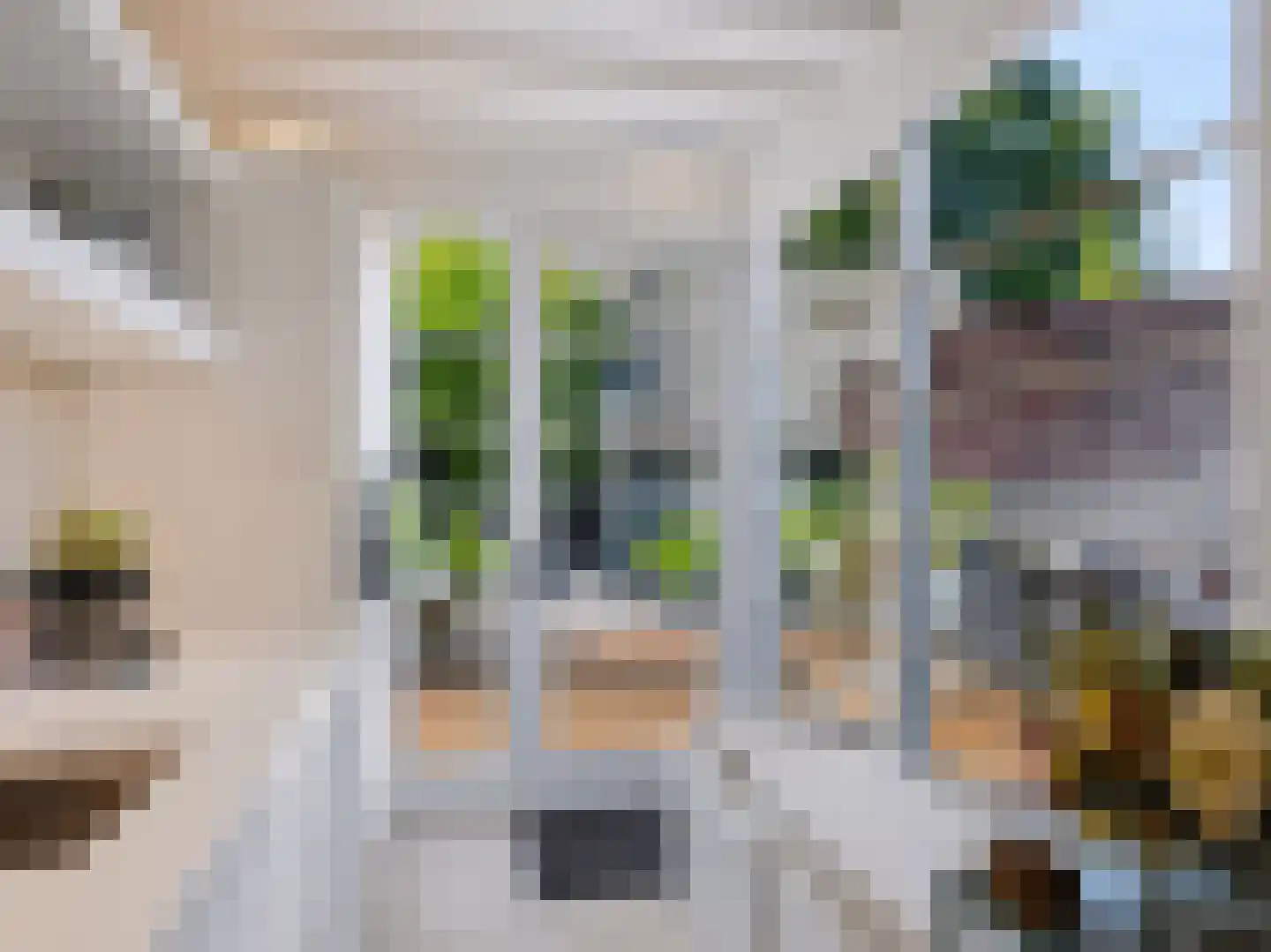 Dokter van Peltlaan 24 Bergen (NH) thumbnail 14