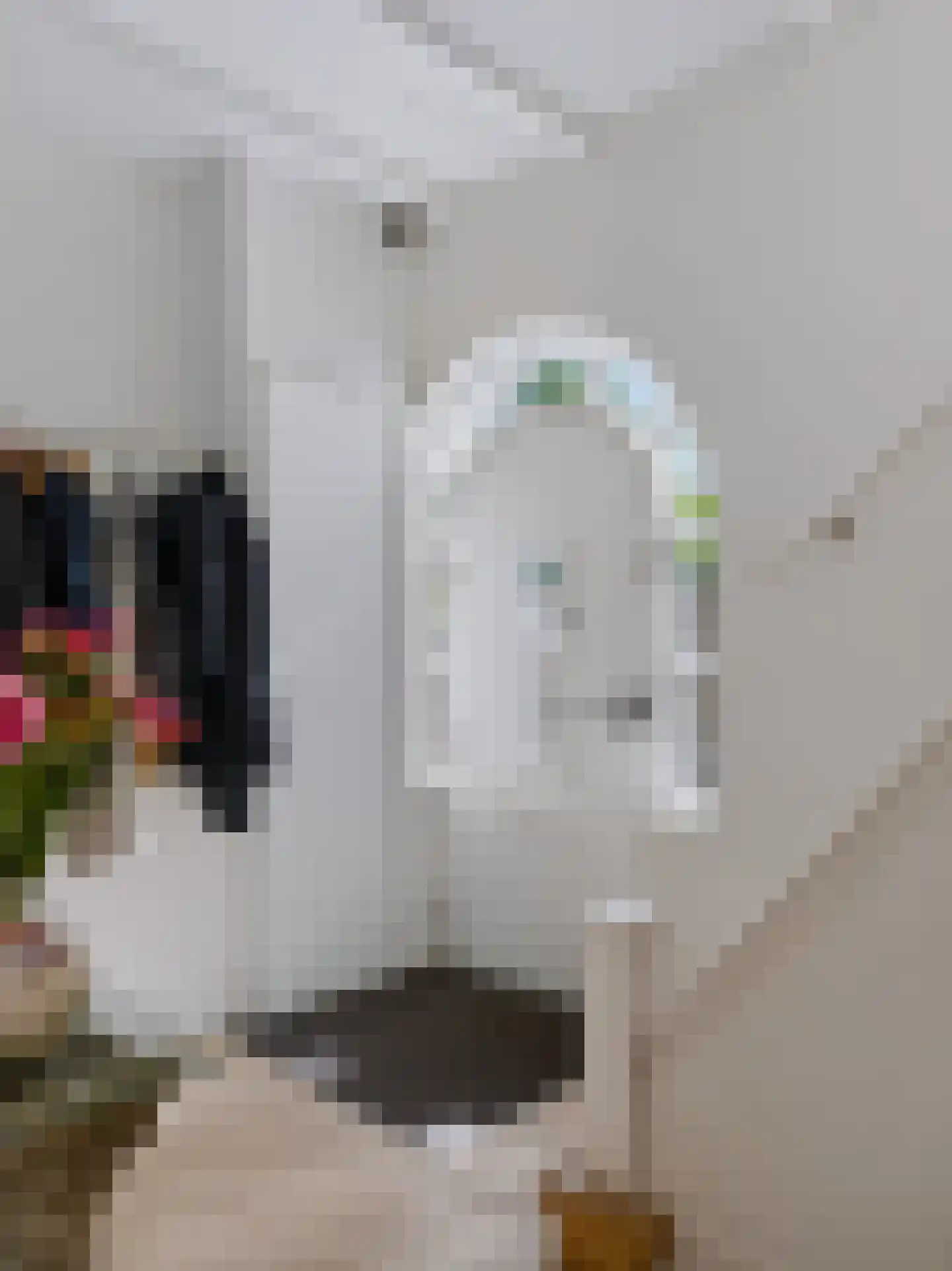 Dokter van Peltlaan 24 Bergen (NH) thumbnail 18