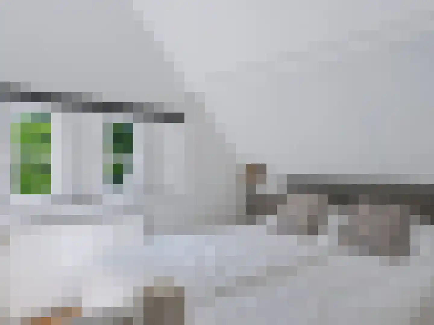 Dokter van Peltlaan 24 Bergen (NH) thumbnail 21