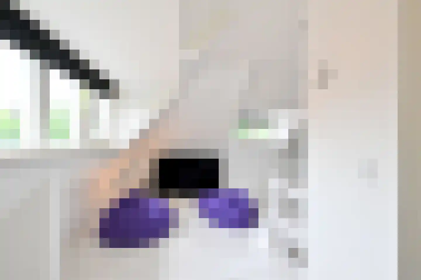 Dokter van Peltlaan 24 Bergen (NH) thumbnail 22