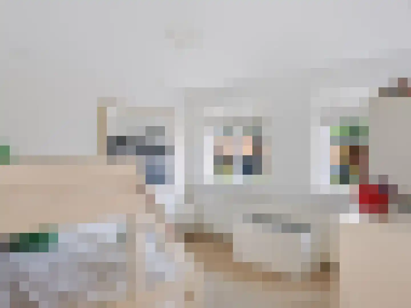 Dokter van Peltlaan 24 Bergen (NH) thumbnail 28