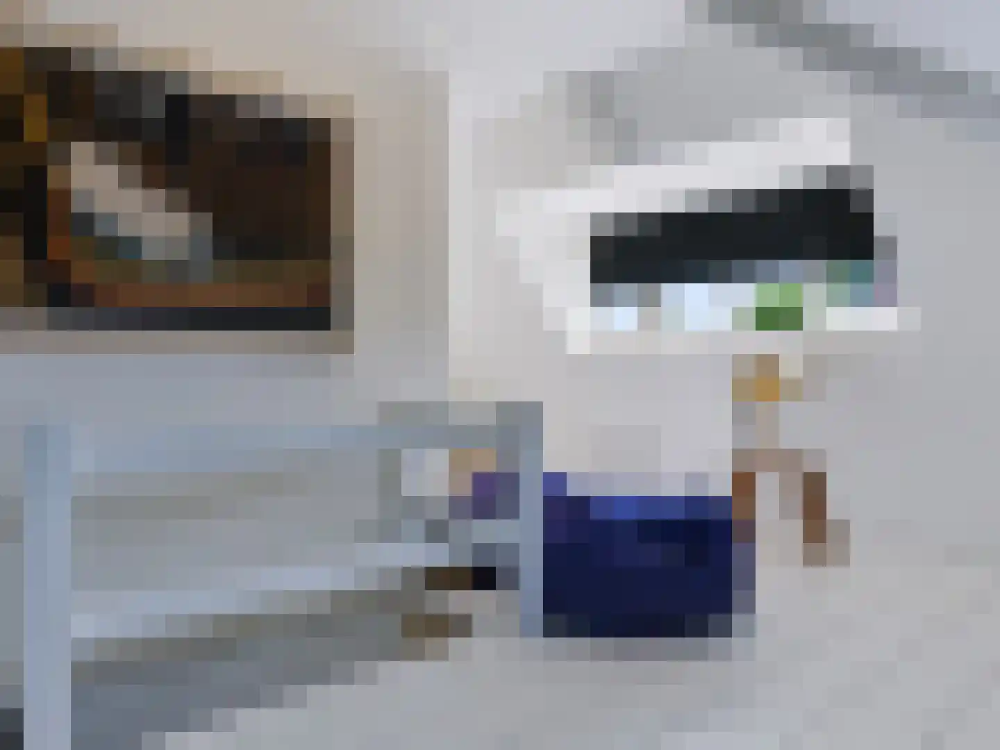 Dokter van Peltlaan 24 Bergen (NH) thumbnail 29