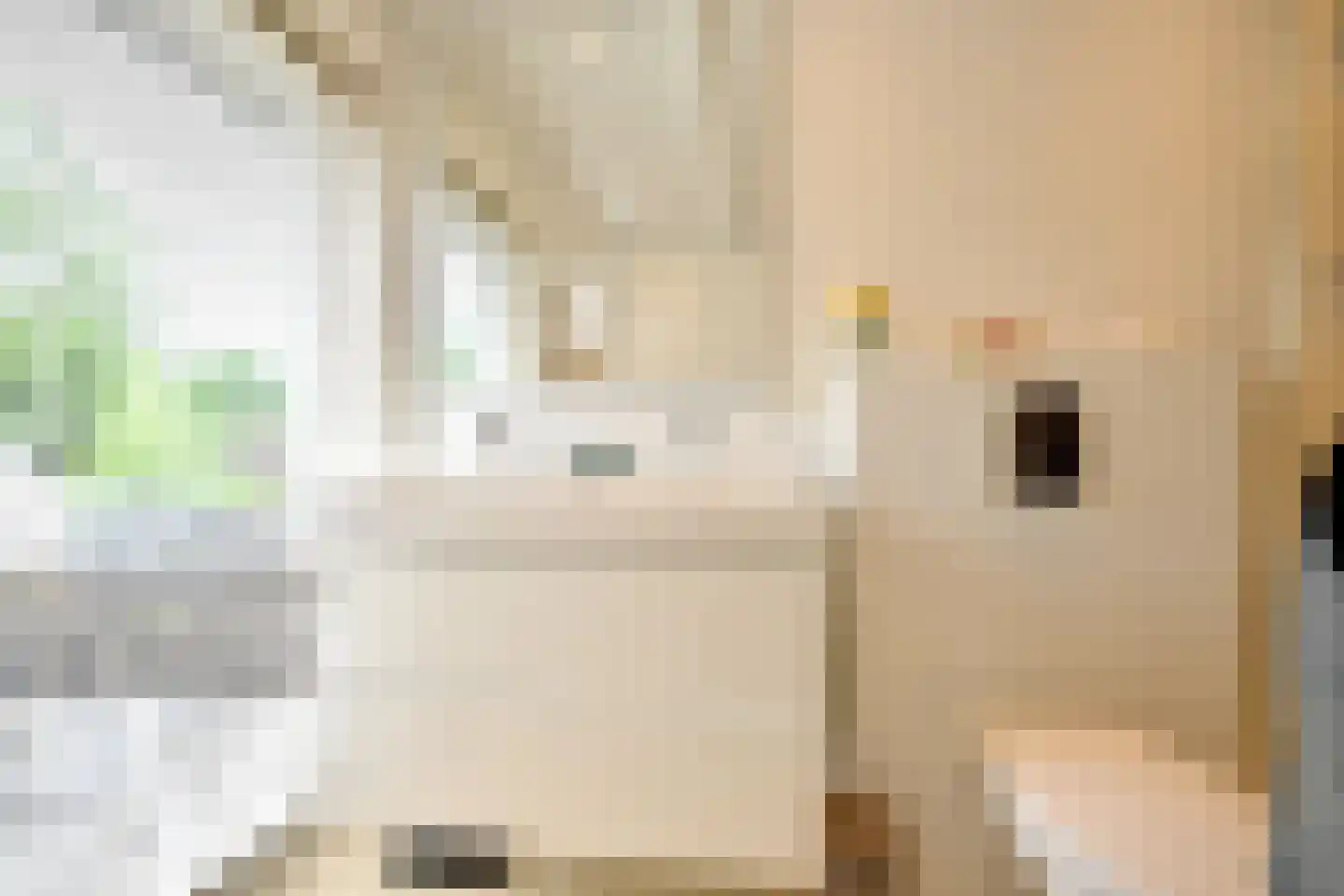 Dokter van Peltlaan 24 Bergen (NH) thumbnail 31