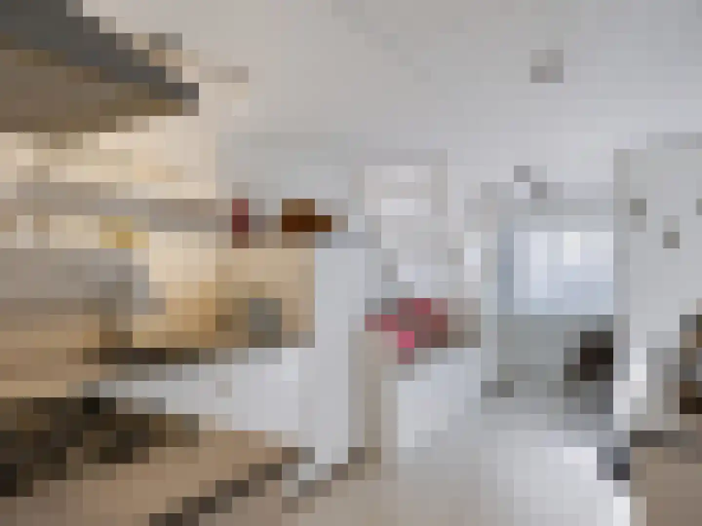 Dokter van Peltlaan 24 Bergen (NH) thumbnail 33