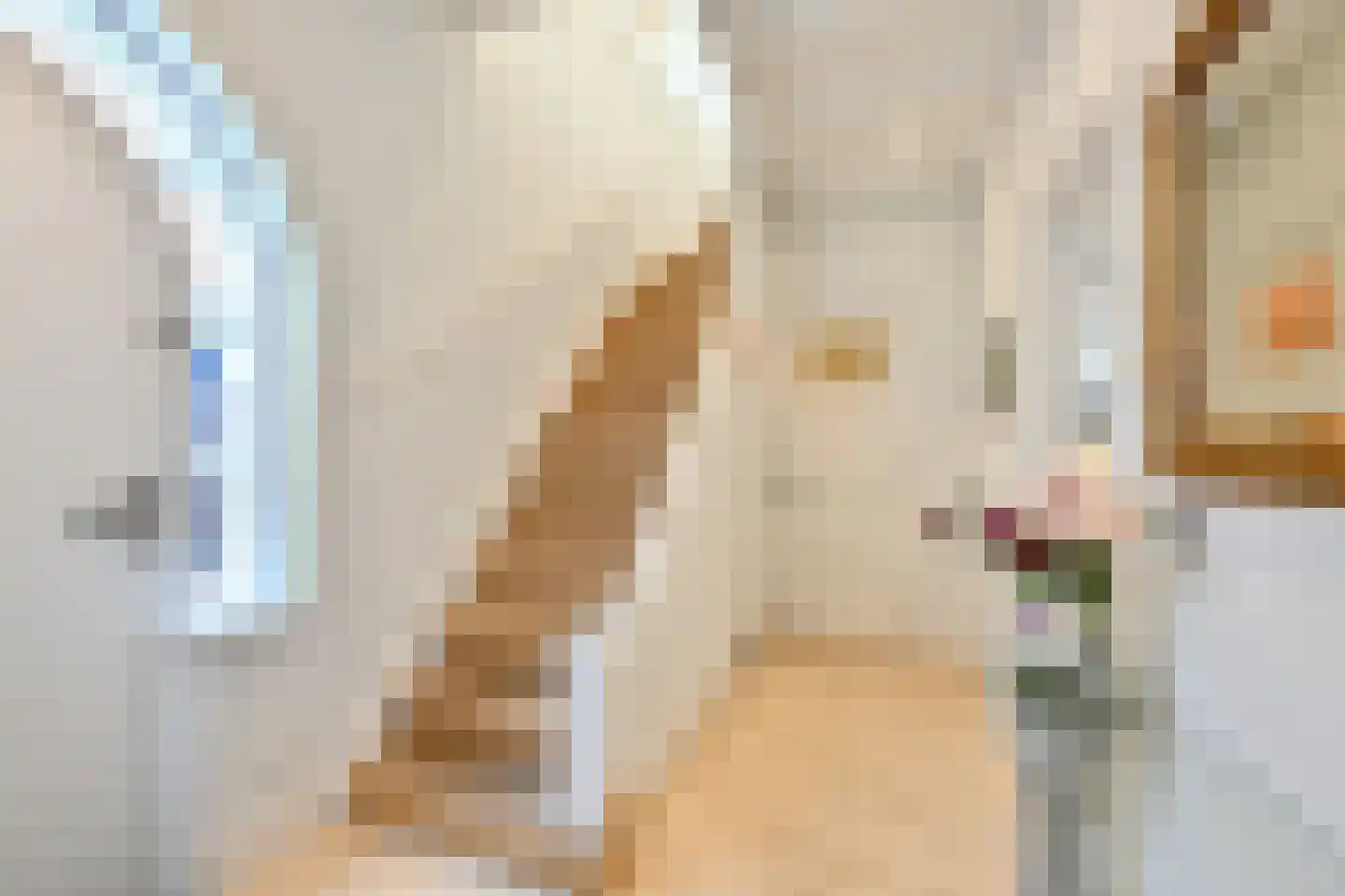 Dokter van Peltlaan 24 Bergen (NH) thumbnail 35