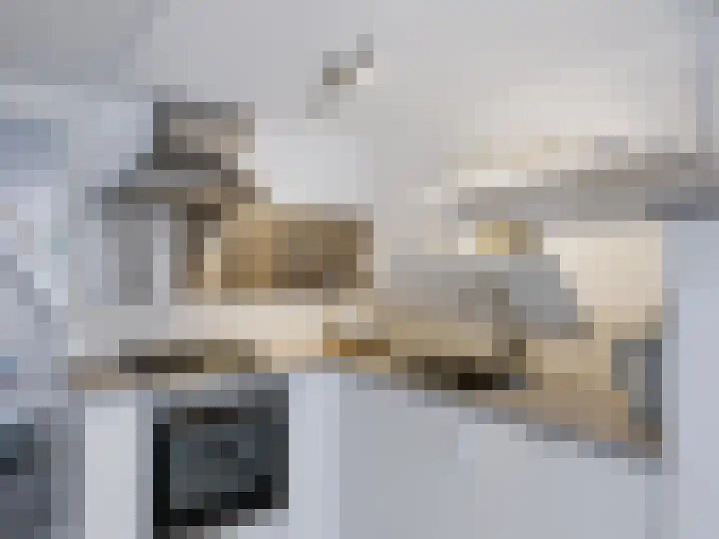 Dokter van Peltlaan 24 Bergen (NH) thumbnail 37