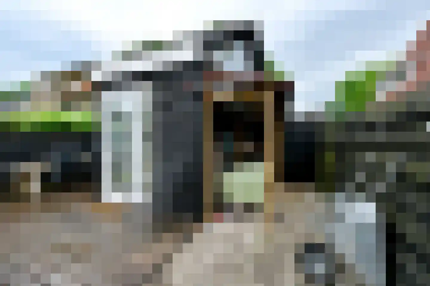 Dokter van Peltlaan 24 Bergen (NH) thumbnail 4
