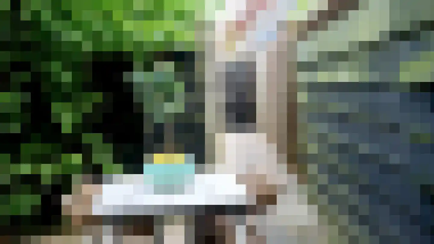 Dokter van Peltlaan 24 Bergen (NH) thumbnail 42