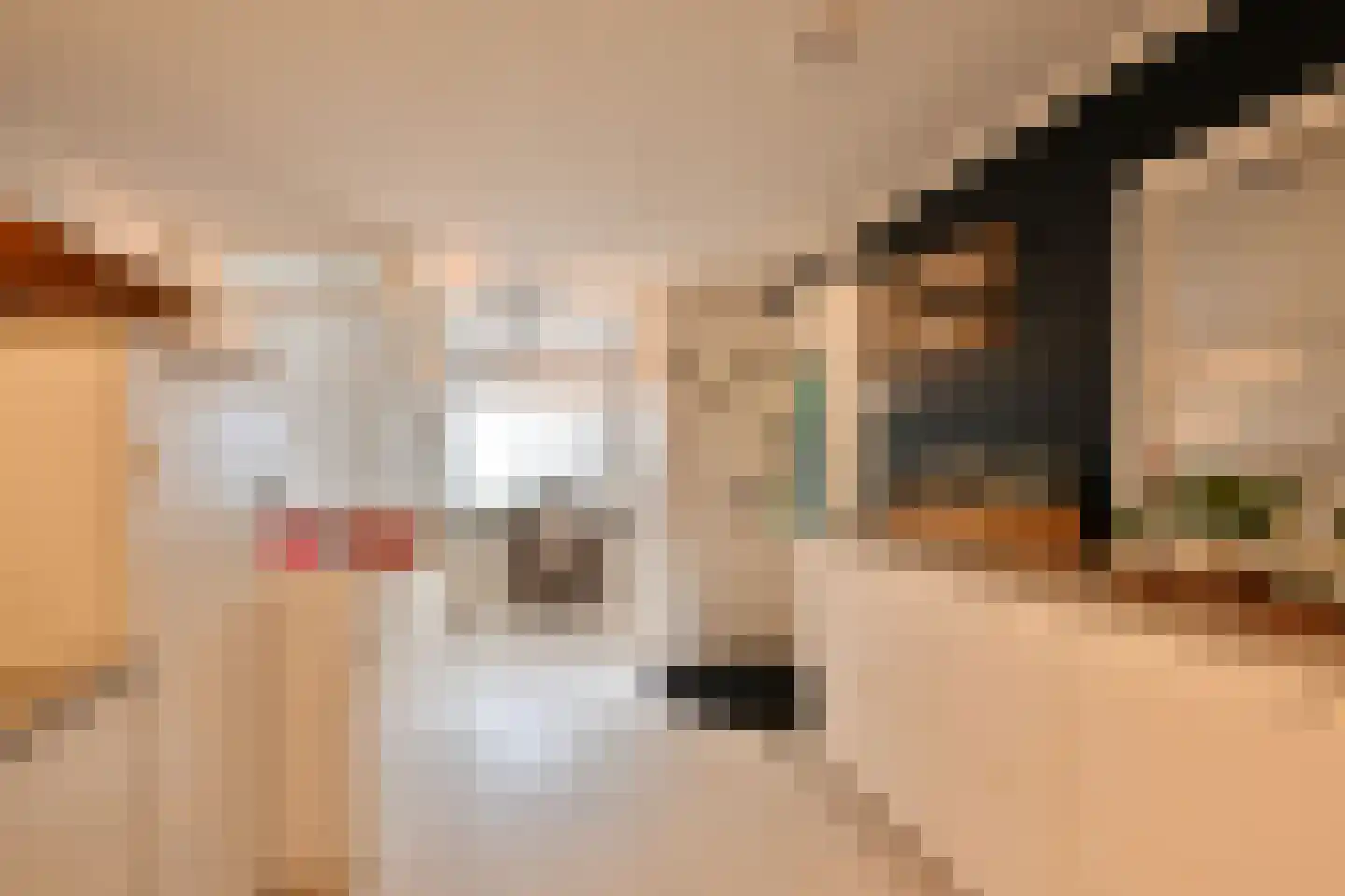 Dokter van Peltlaan 24 Bergen (NH) thumbnail 47