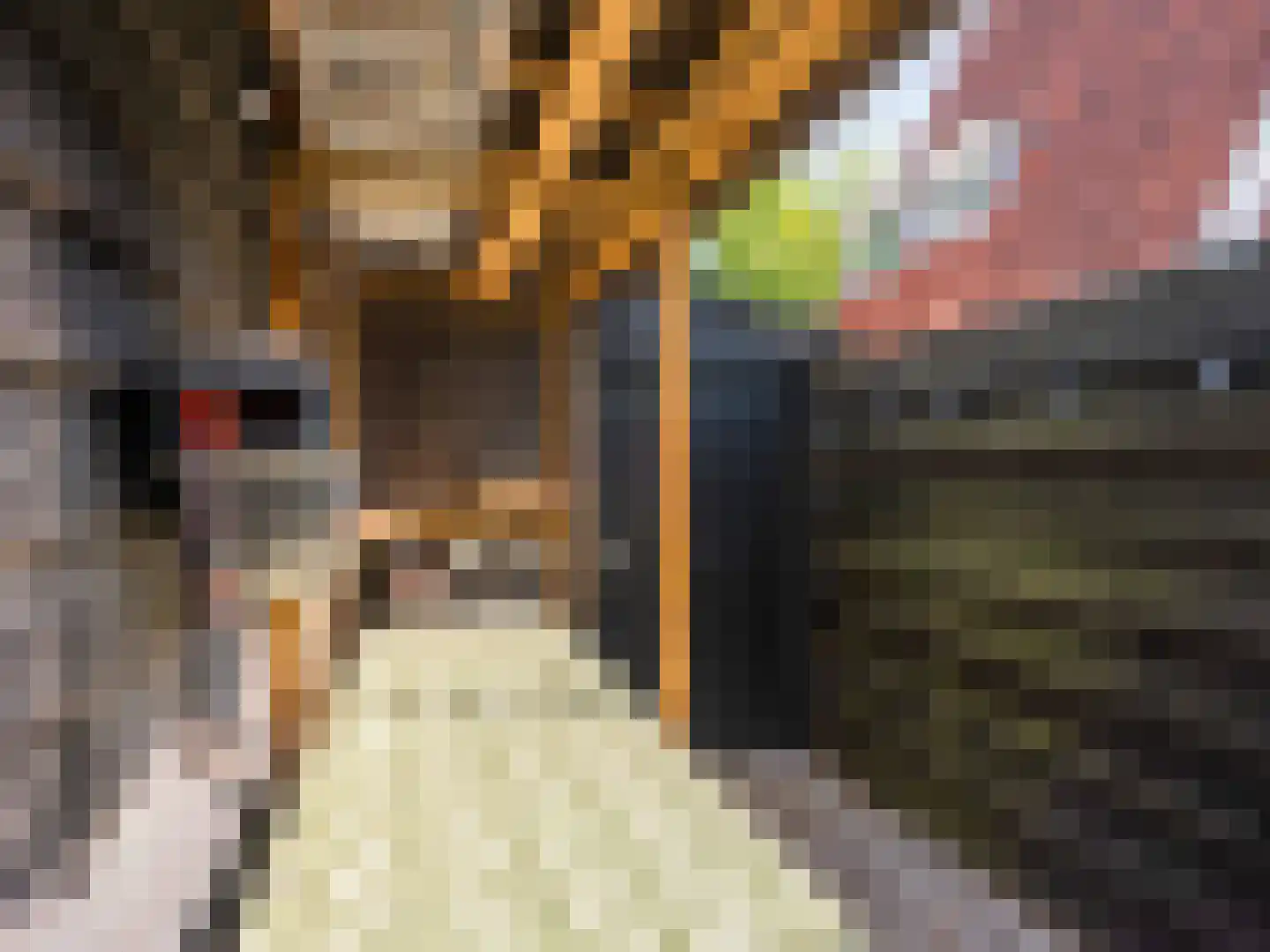 Dokter van Peltlaan 24 Bergen (NH) thumbnail 48