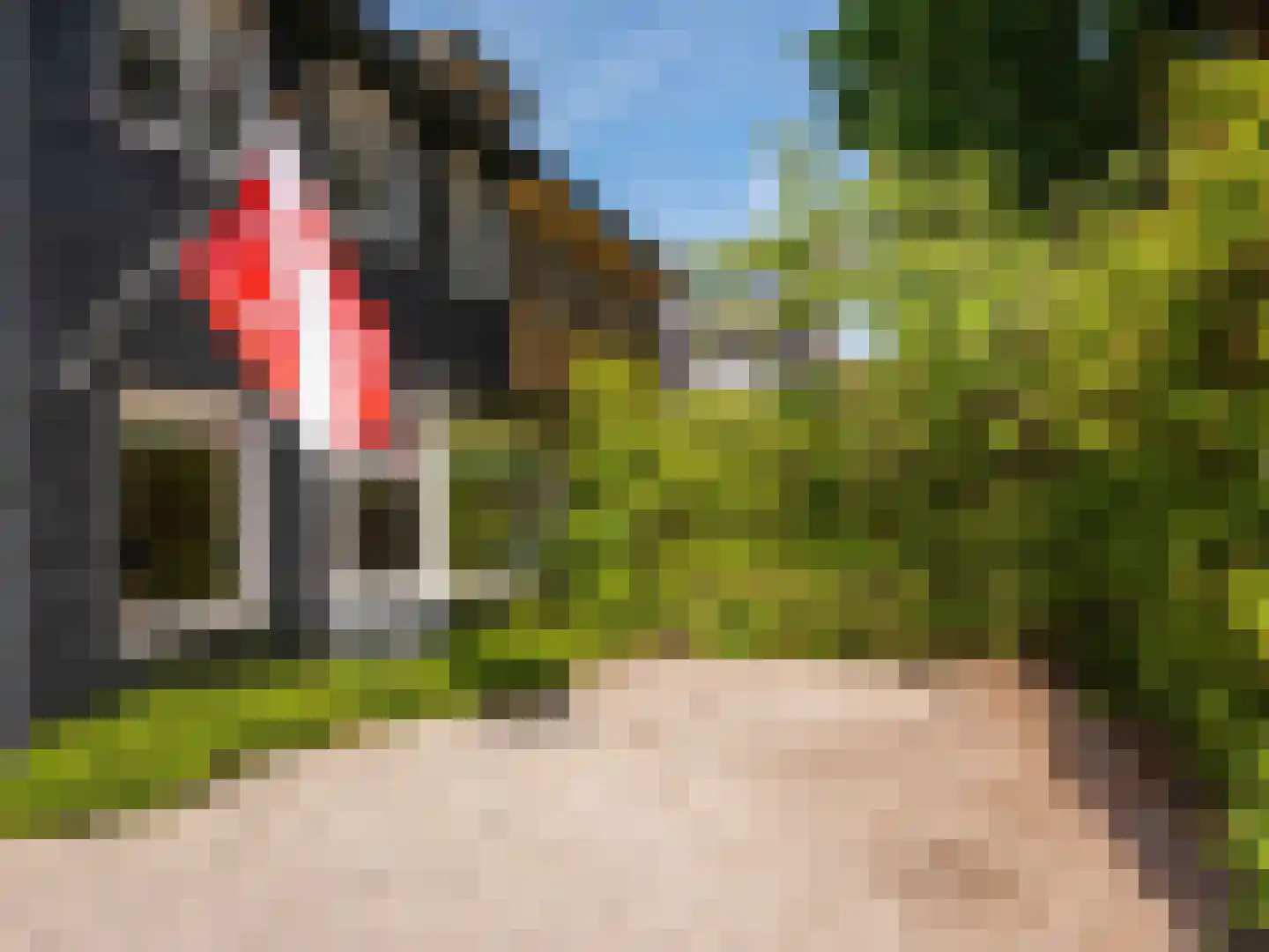 Dokter van Peltlaan 24 Bergen (NH) thumbnail 53