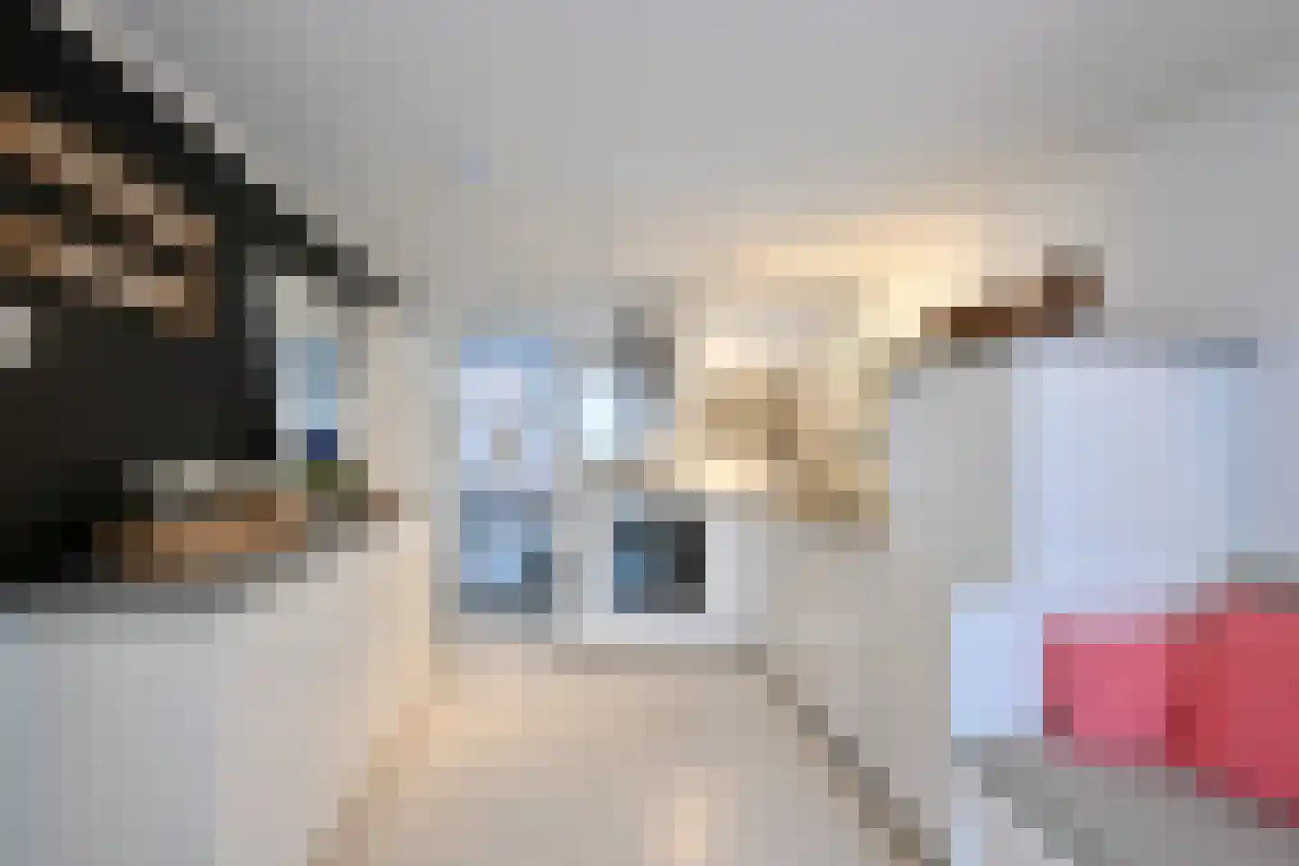 Dokter van Peltlaan 24 Bergen (NH) thumbnail 69