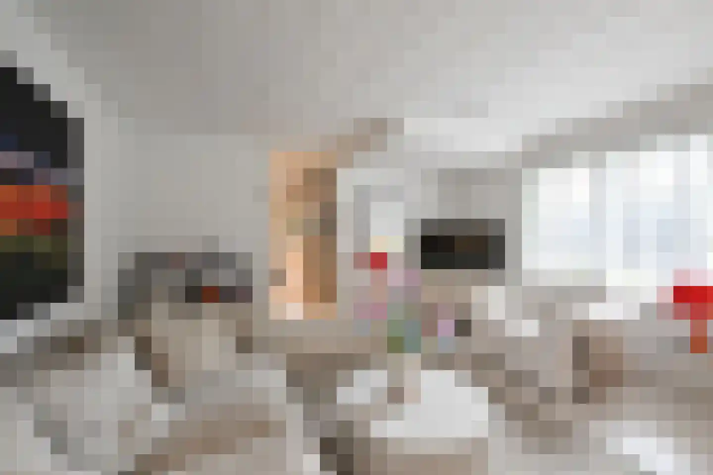 Dokter van Peltlaan 24 Bergen (NH) thumbnail 70