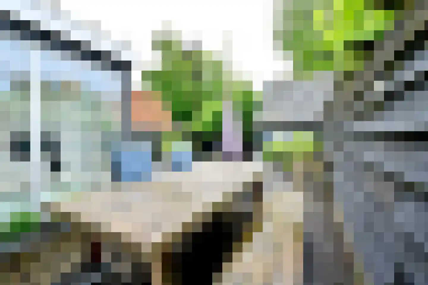 Dokter van Peltlaan 24 Bergen (NH) thumbnail 8