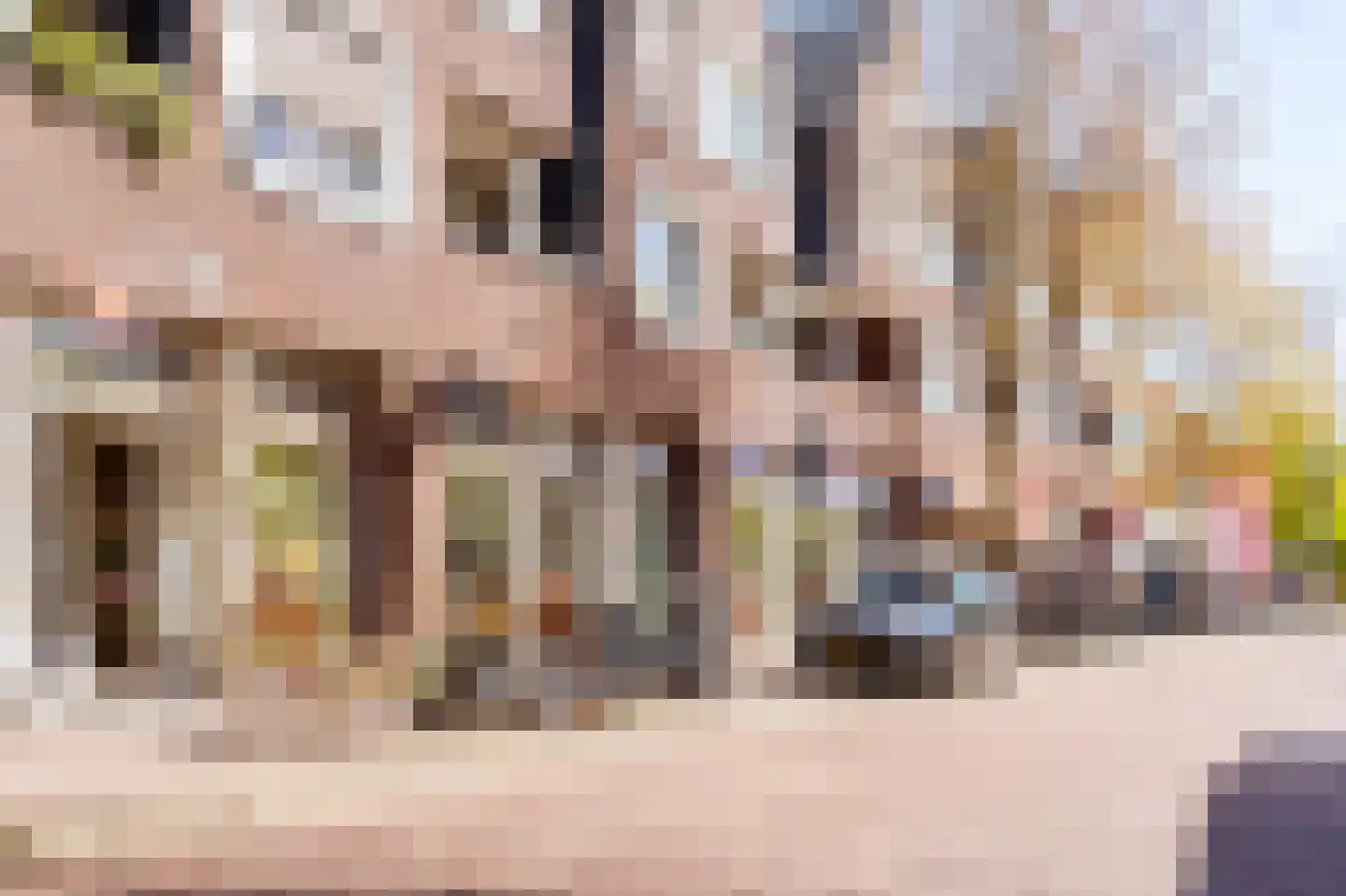 Dokter van Peltlaan 36 Bergen (NH) thumbnail 13