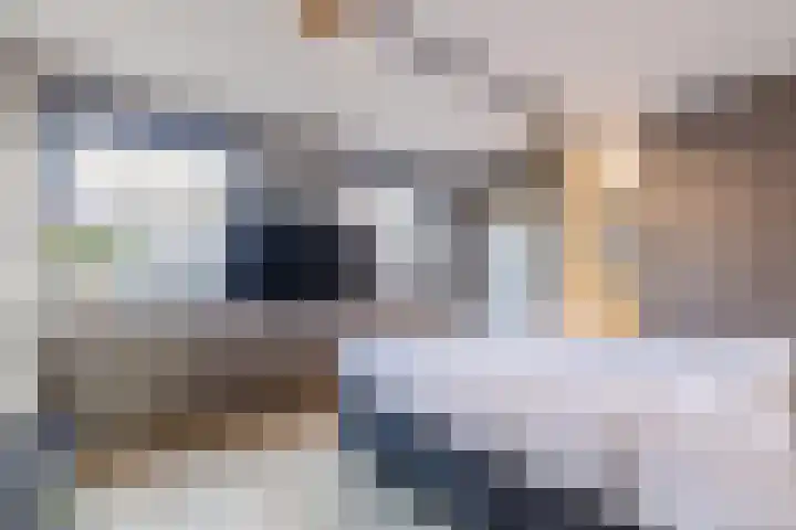 Dokter van Peltlaan 4 C Bergen (NH) thumbnail 22
