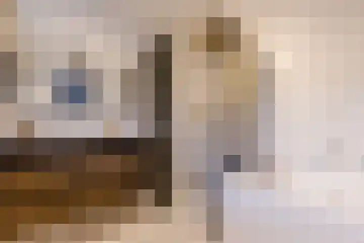 Dokter van Peltlaan 4 C Bergen (NH) thumbnail 24