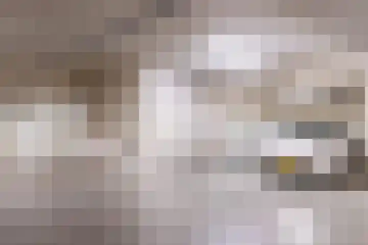 Dokter van Peltlaan 4 C Bergen (NH) thumbnail 31