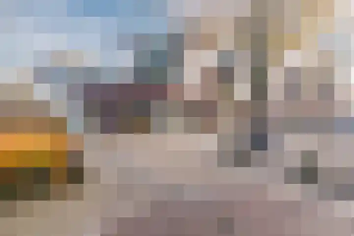 Dokter van Peltlaan 4 C Bergen (NH) thumbnail 32