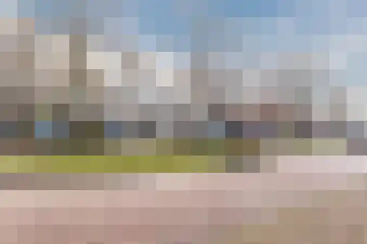 Dokter van Peltlaan 4 C Bergen (NH) thumbnail 33