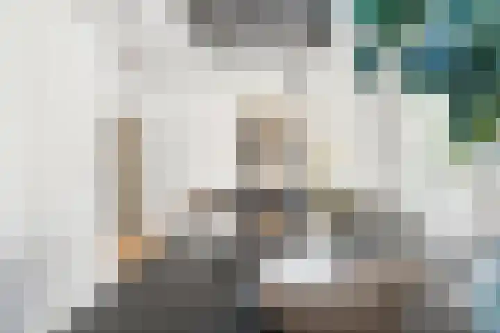 Dokter van Peltlaan 50 Bergen (NH) thumbnail 27
