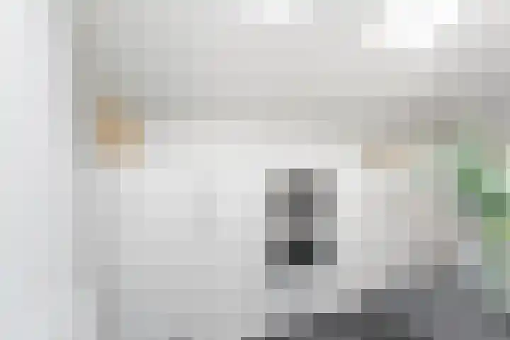 Dokter van Peltlaan 50 Bergen (NH) thumbnail 29