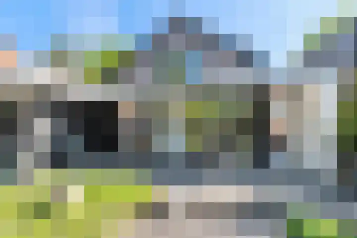 Dokter van Peltlaan 50 Bergen (NH) thumbnail 4
