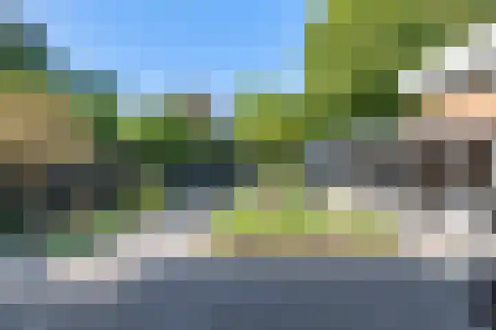 Dokter van Peltlaan 50 Bergen (NH) thumbnail 5