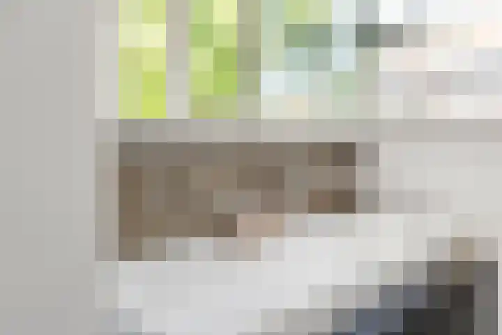 Dokter van Peltlaan 50 Bergen (NH) thumbnail 50