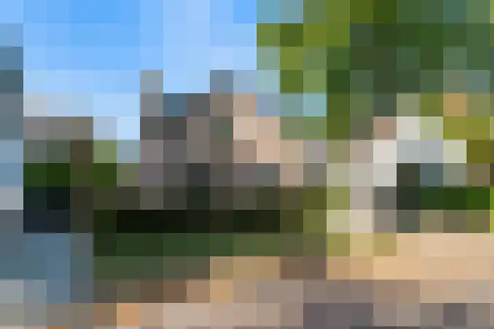 Dokter van Peltlaan 50 Bergen (NH) thumbnail 6