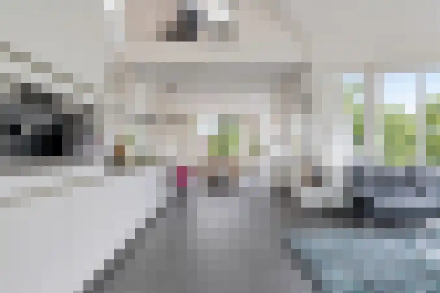 Dokter van Peltlaan 6 Bergen (NH) thumbnail 13