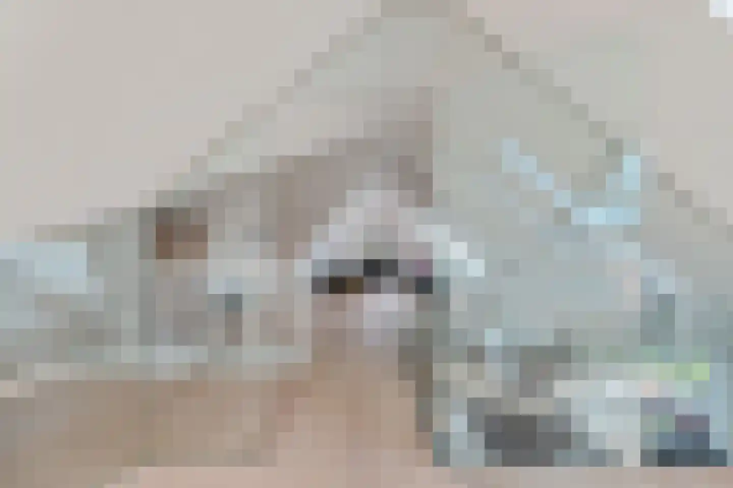 Dokter van Peltlaan 6 Bergen (NH) thumbnail 33
