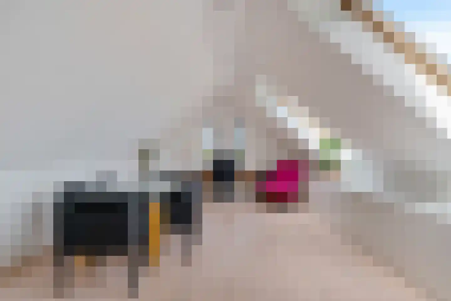 Dokter van Peltlaan 6 Bergen (NH) thumbnail 34