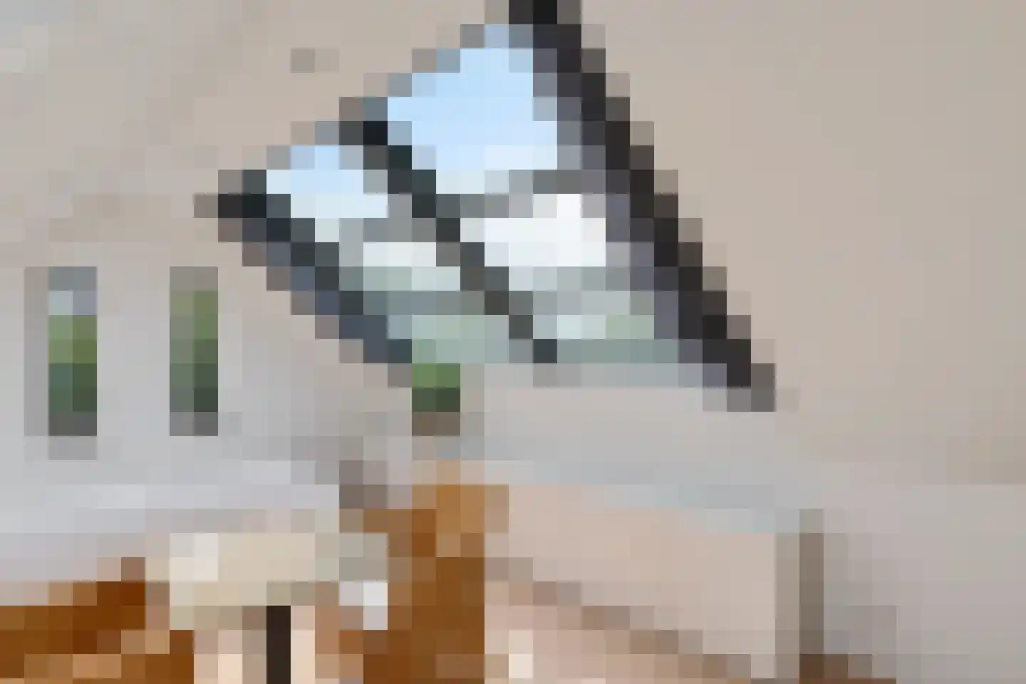 Dokter van Peltlaan 6 Bergen (NH) thumbnail 37