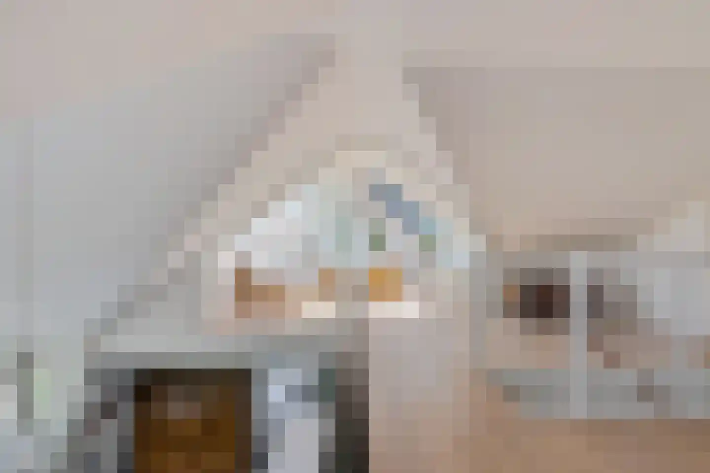 Dokter van Peltlaan 6 Bergen (NH) thumbnail 39