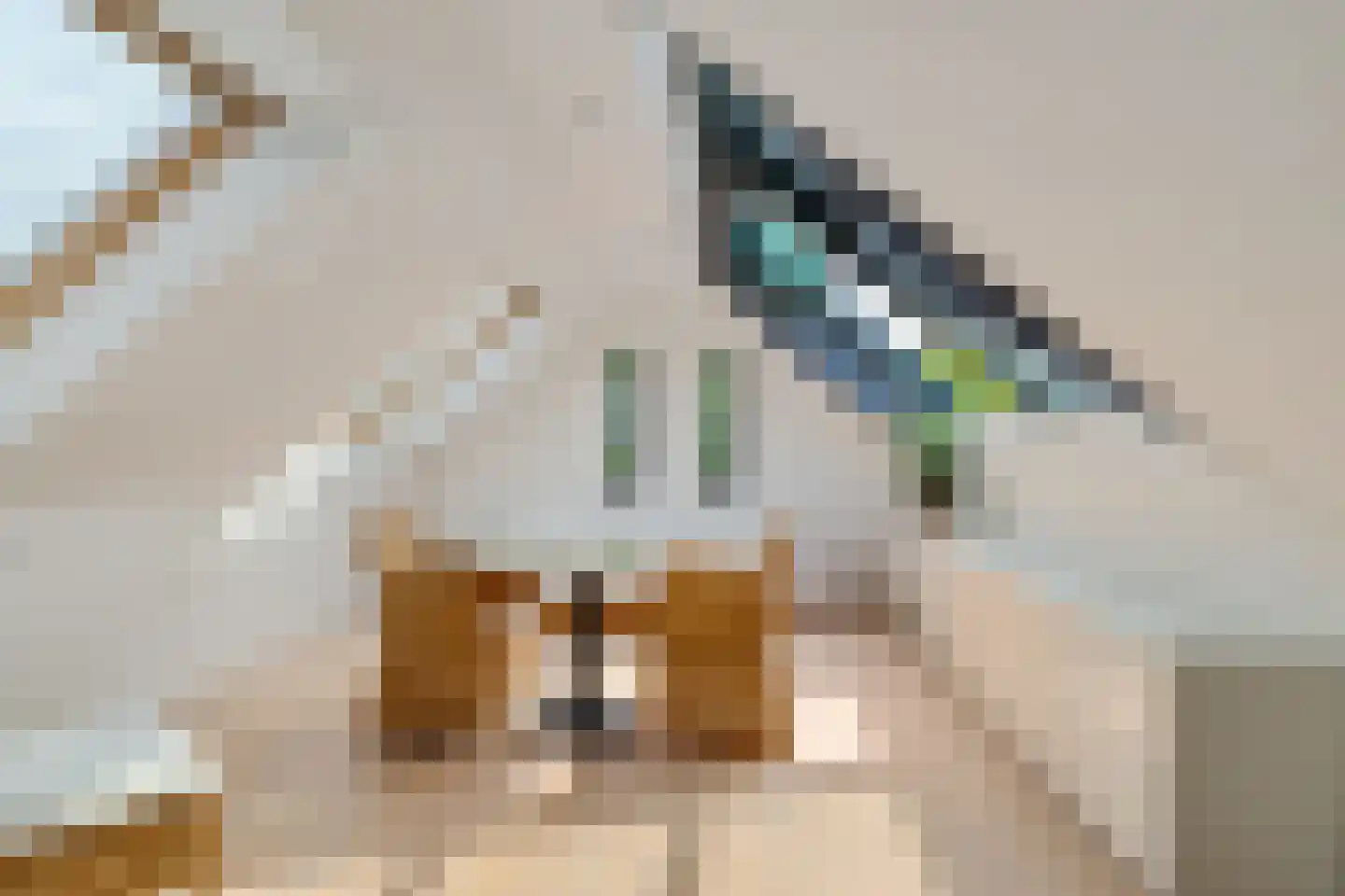 Dokter van Peltlaan 6 Bergen (NH) thumbnail 4
