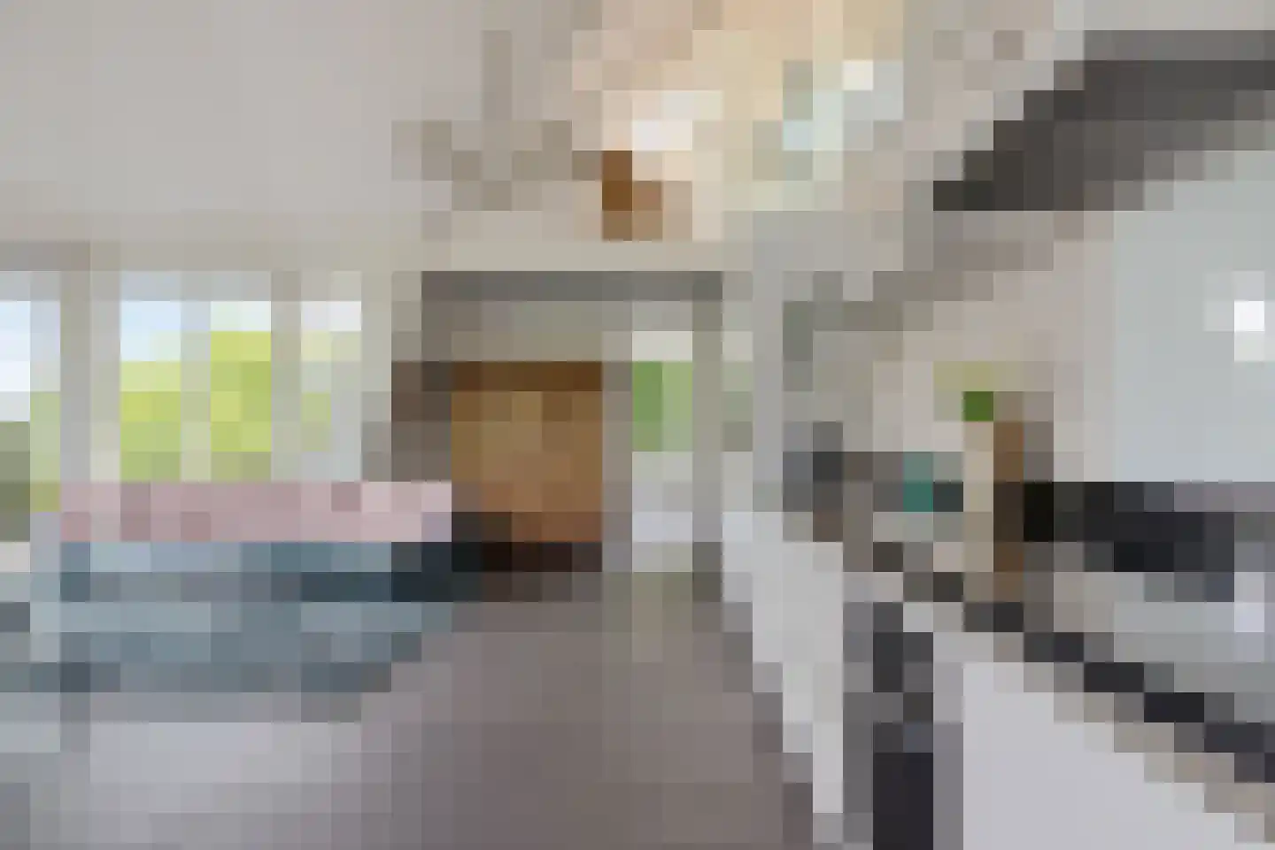 Dokter van Peltlaan 6 Bergen (NH) thumbnail 8