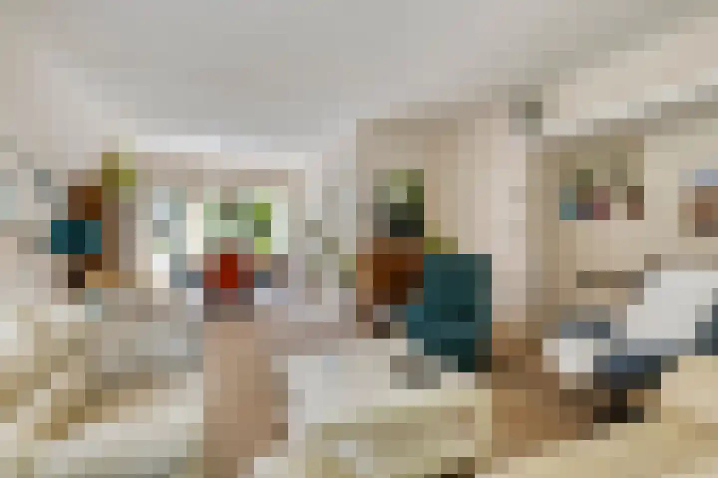 Dokter van Peltlaan 60 Bergen (NH) thumbnail 12