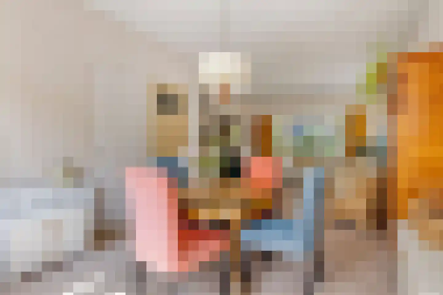Dokter van Peltlaan 60 Bergen (NH) thumbnail 13