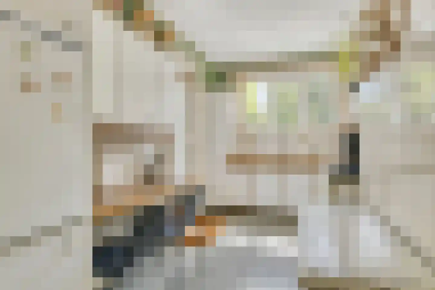 Dokter van Peltlaan 60 Bergen (NH) thumbnail 18