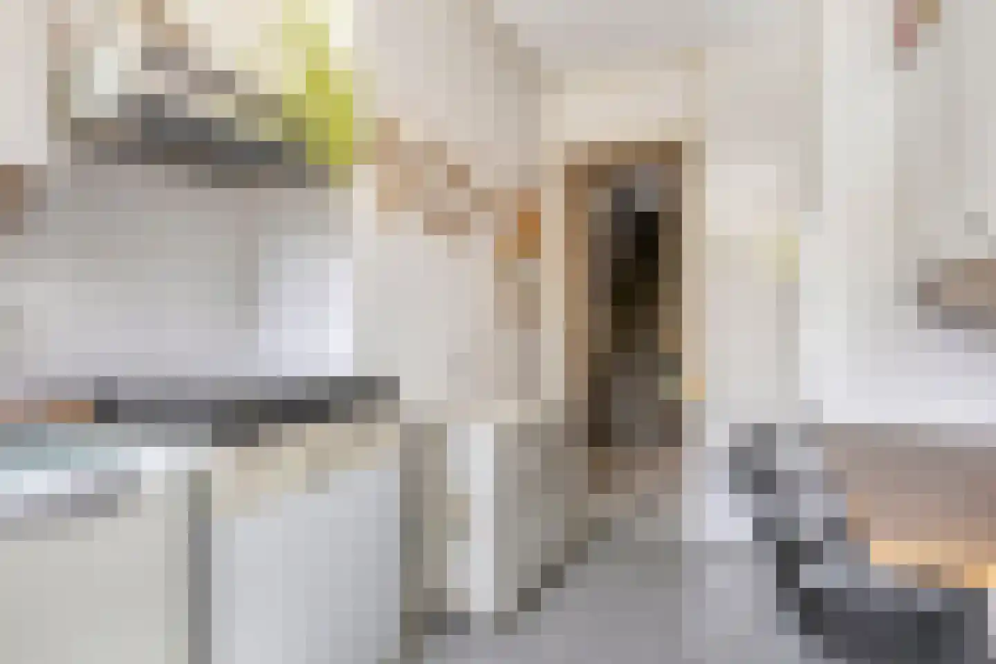 Dokter van Peltlaan 60 Bergen (NH) thumbnail 21