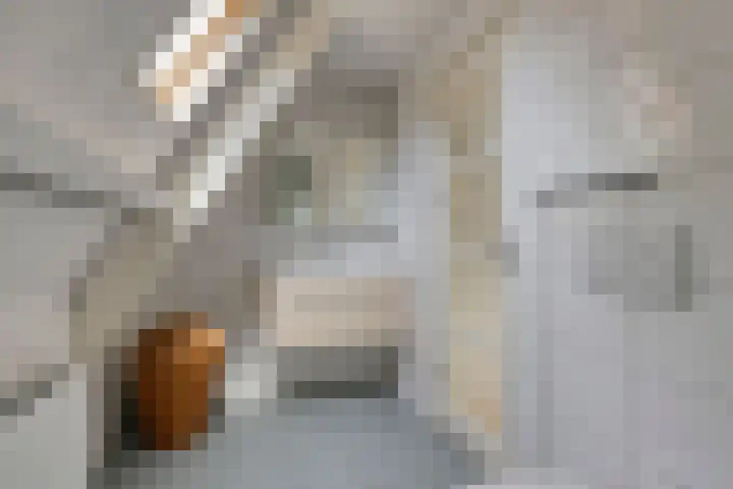 Dokter van Peltlaan 60 Bergen (NH) thumbnail 27