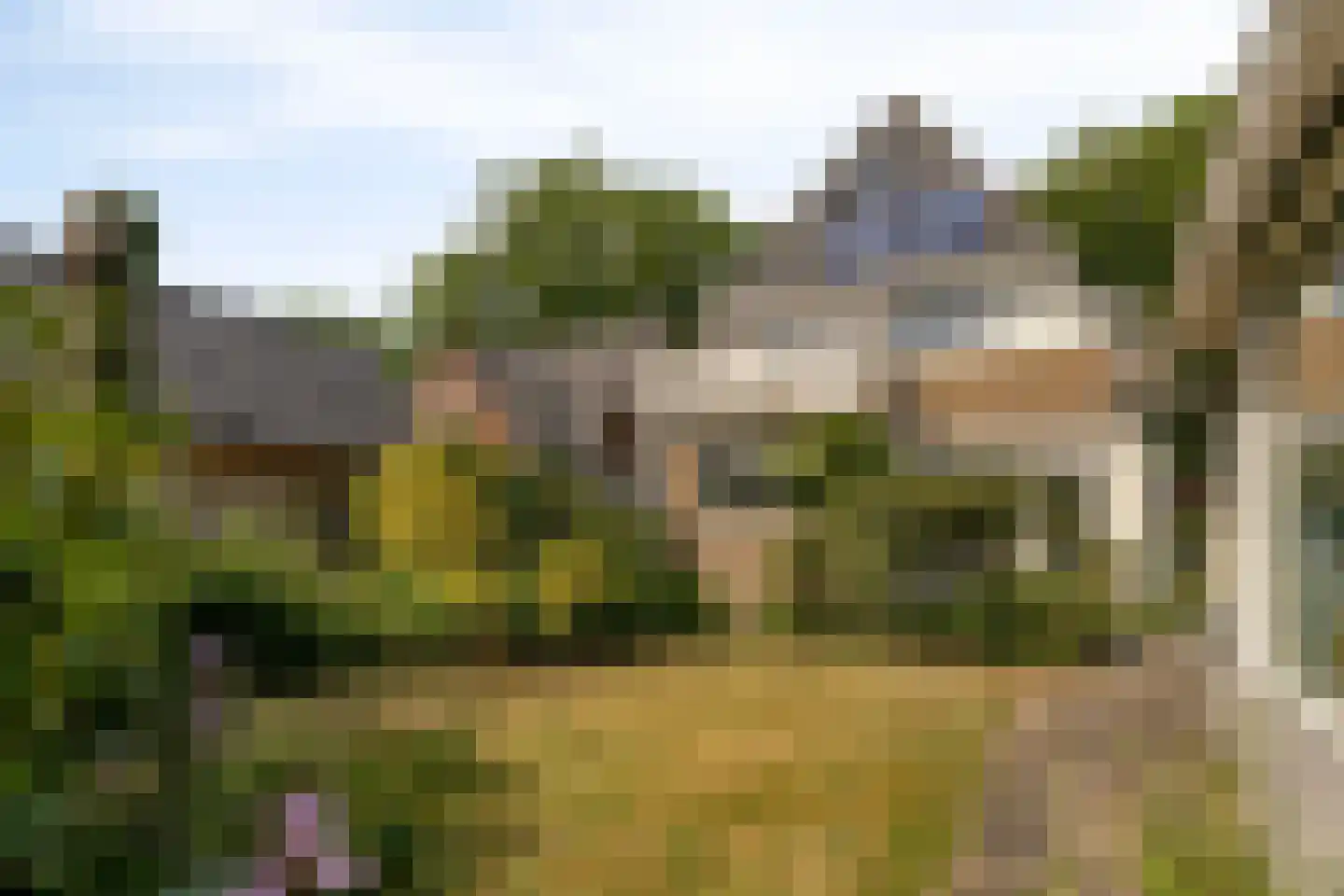 Dokter van Peltlaan 60 Bergen (NH) thumbnail 40