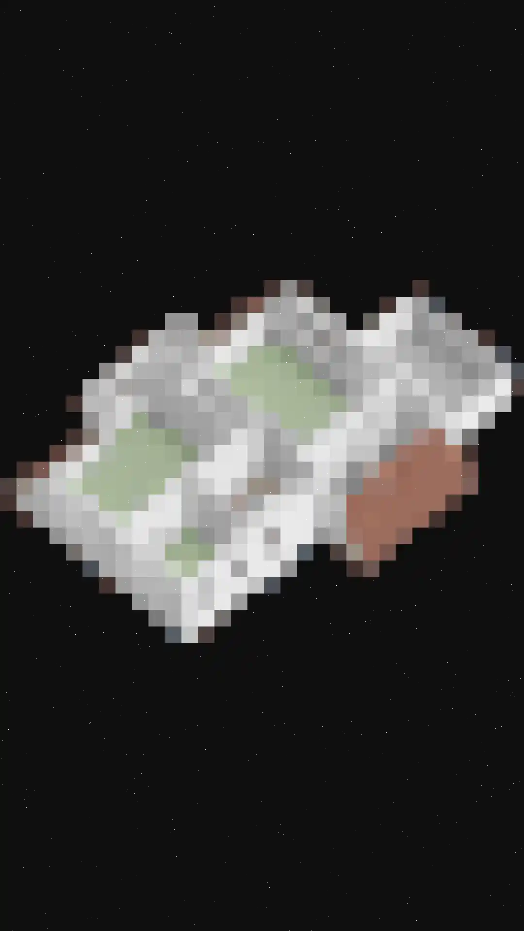 Dokter van Peltlaan 60 Bergen (NH) thumbnail 48
