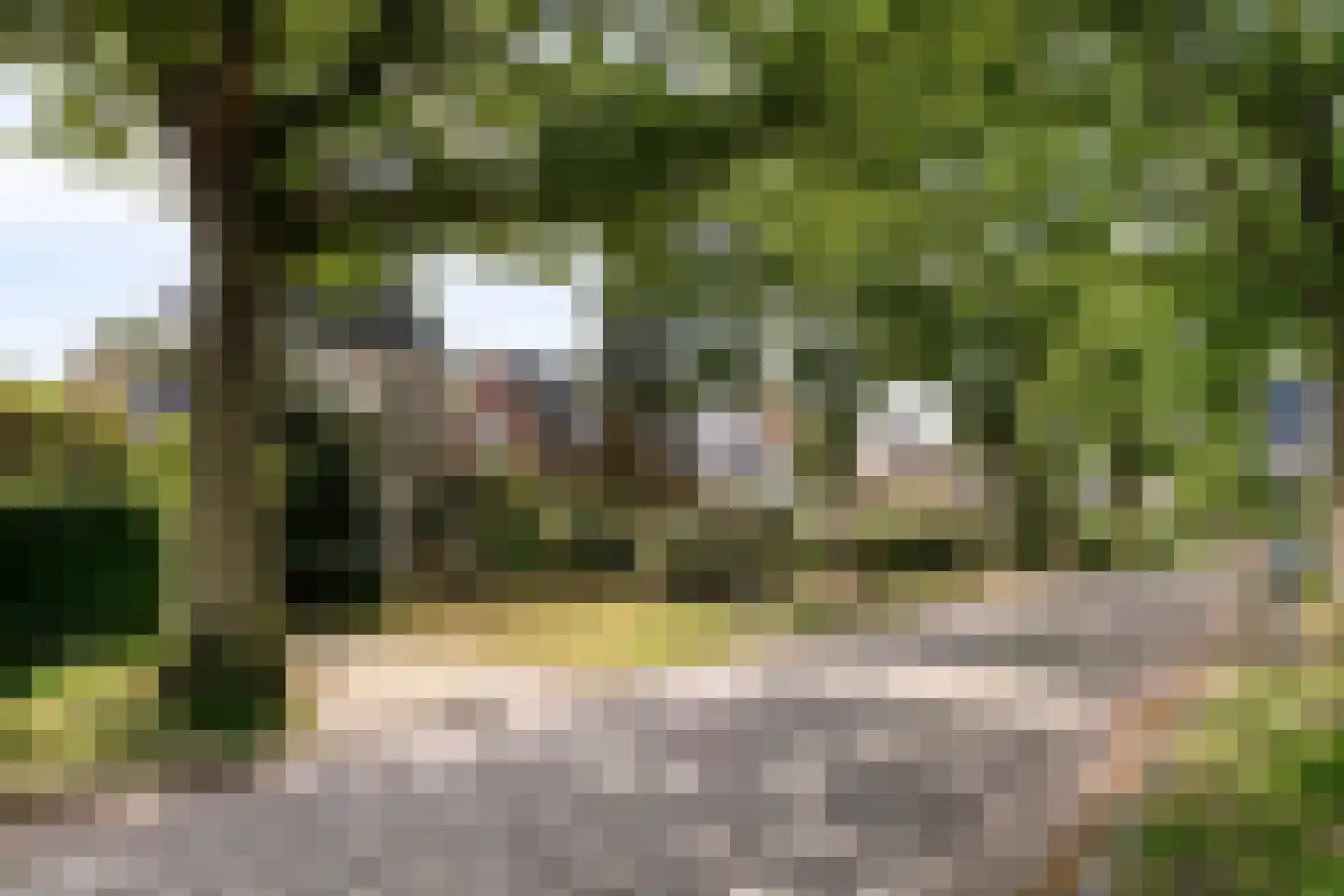 Dokter van Peltlaan 60 Bergen (NH) thumbnail 6