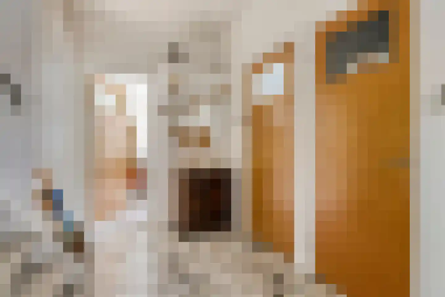Dokter van Peltlaan 60 Bergen (NH) thumbnail 8