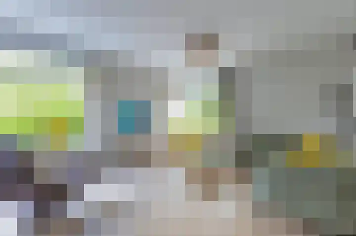 Dokter van Peltlaan 74 Bergen (NH) thumbnail 12